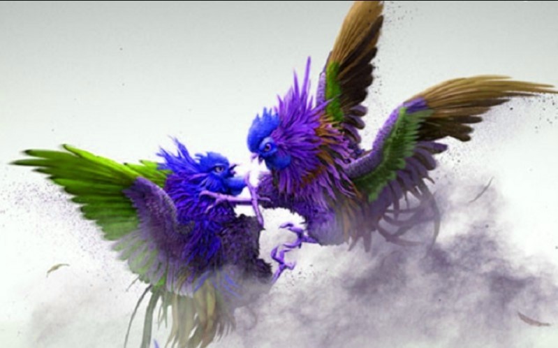 Người chơi có thể tham gia cá cược đá gà online mọi lúc