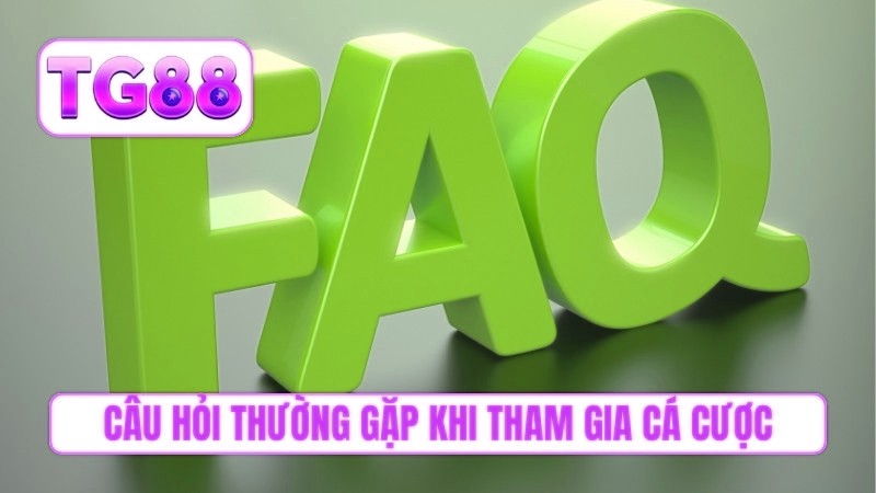Câu hỏi thường gặp khi tham gia cá cược