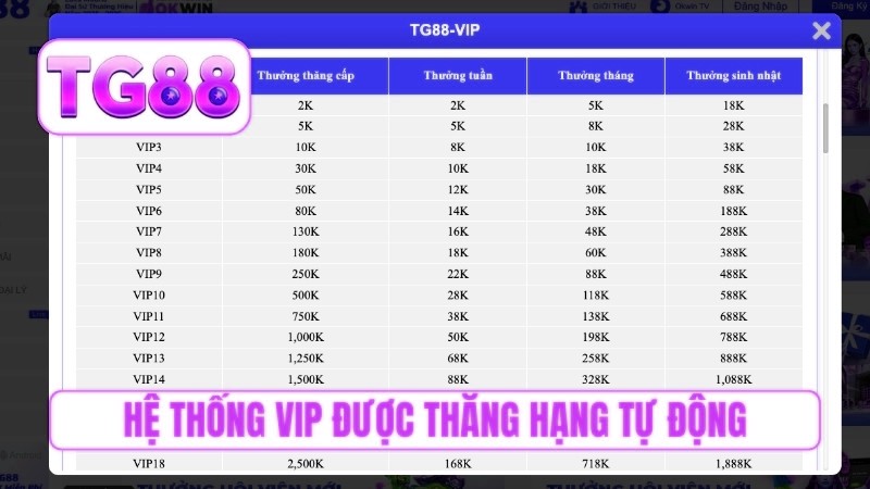 Hệ thống VIP được thăng hạng tự động