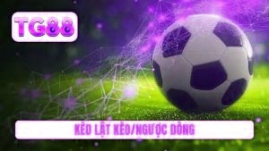 kèo lật kèo/ngược dòng